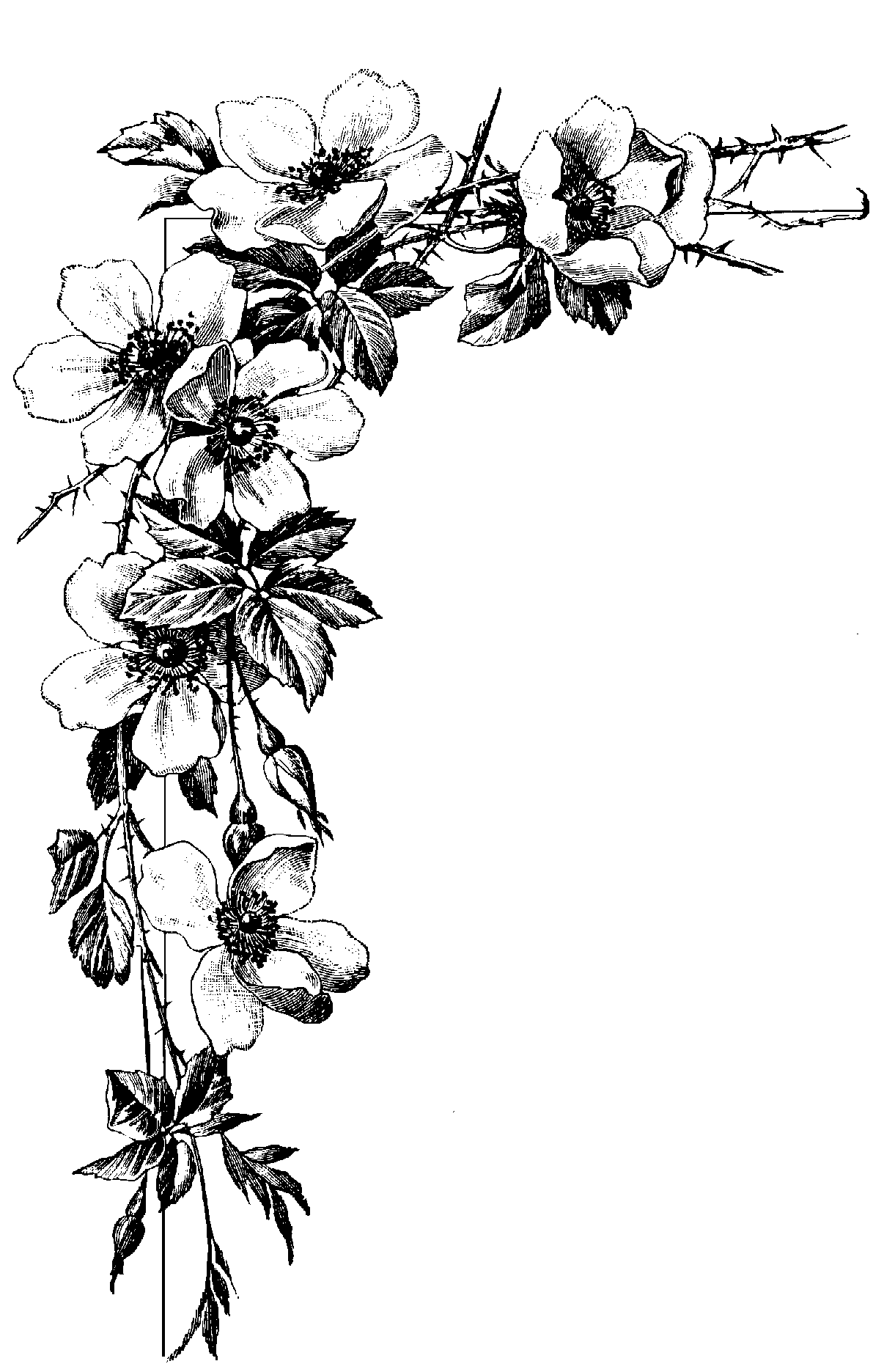 wildflower tattoo ideas 0096