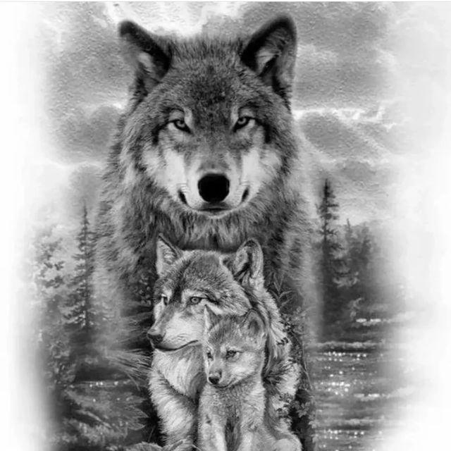 wolf tattoo ideas 0023