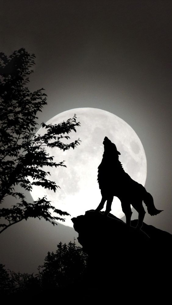 wolf tattoo ideas 0055