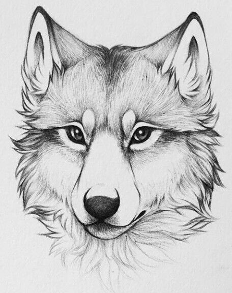 wolf tattoo ideas 0087