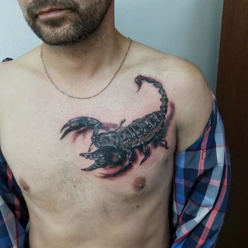 zodiac scorpio tattoo ideas 0083