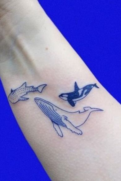 Small dolphin tattoo manifested as a symbol of grace and freedom