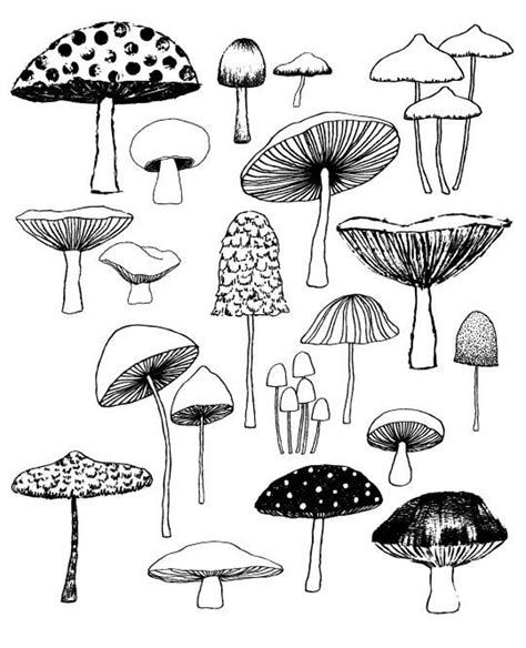 Engraved small mushroom tattoo ideas for a whimsical design choice