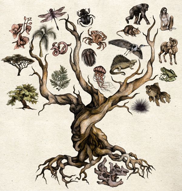 Tattoo ideas with trees manifested to reflect your inner strength and growth